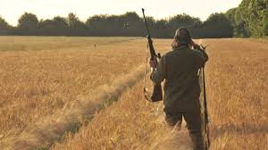 Chasse à l’Approche