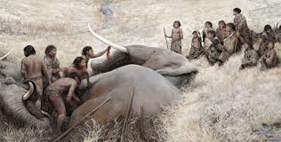 Il y a 125 000 ans, l'Homme de Néandertal chassait l'éléphant en Allemagne